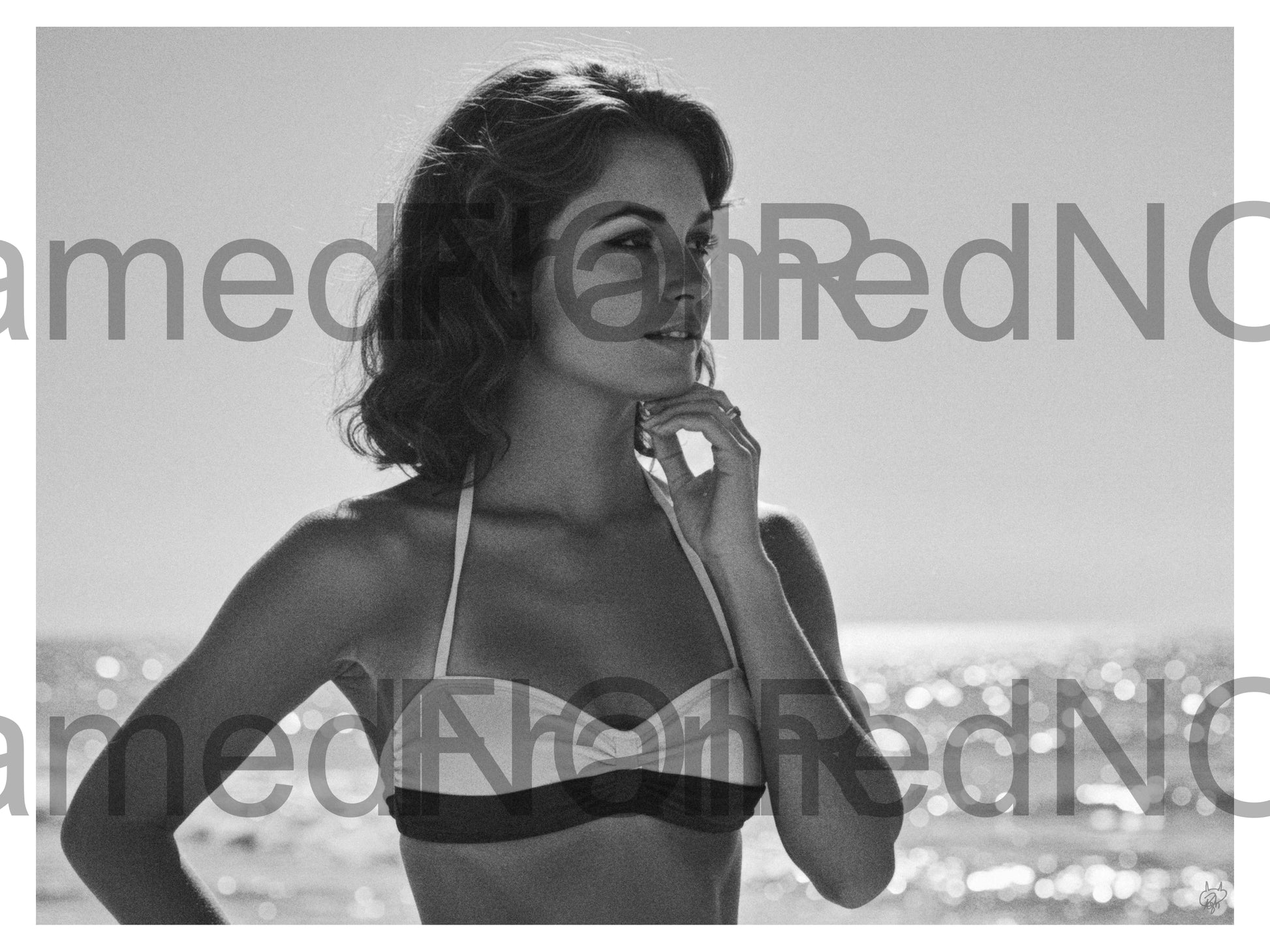 Watermarked High-Res